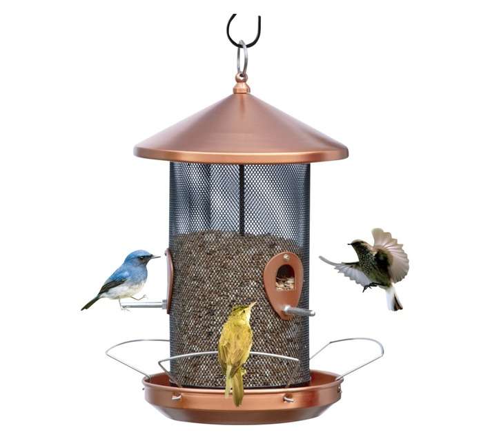 Hanging Bird Feeder with Roof - Assorted