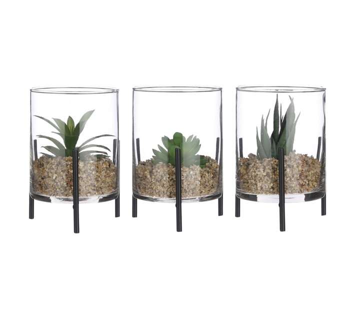 Succulent Potted Plant - Green (105 x 105 x 150mm)