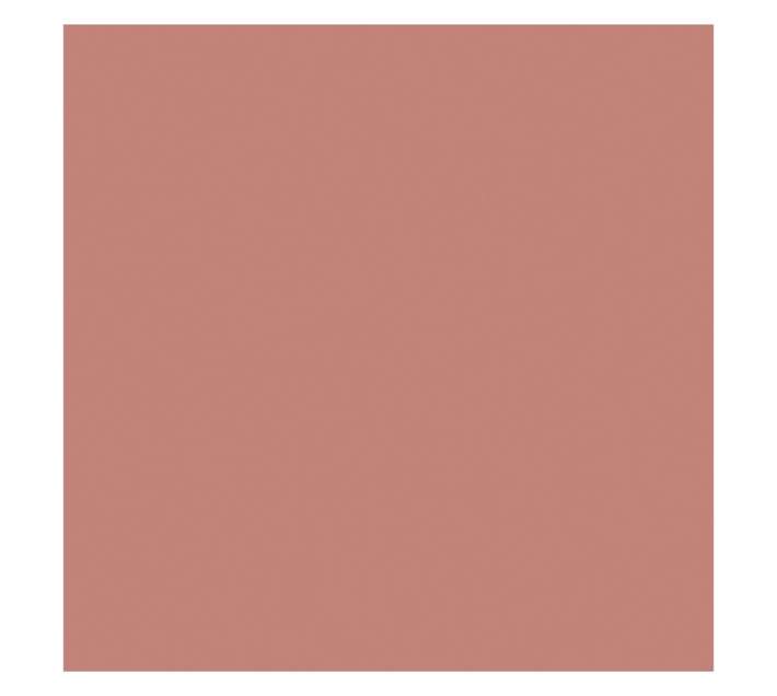 Parrot Products Hob Splashback - Rose Gold (598 x 6 x 650mm)