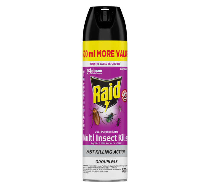 Raid Crawling Insect Killer (180ml)