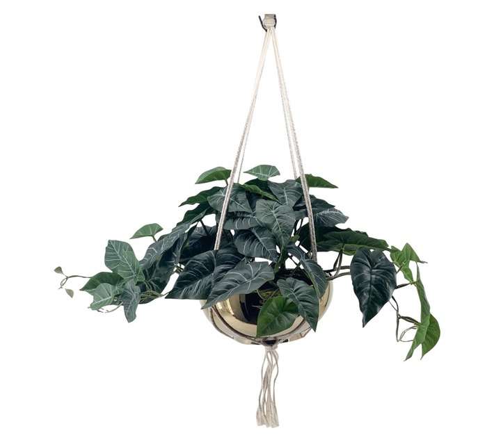 Direkshinz Artificial Pothos in Gold Pot - Green