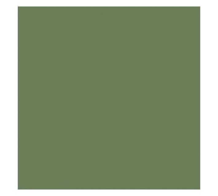 Parrot Products Hob Splashback - Reseda Green (898 x 6 x 700mm)