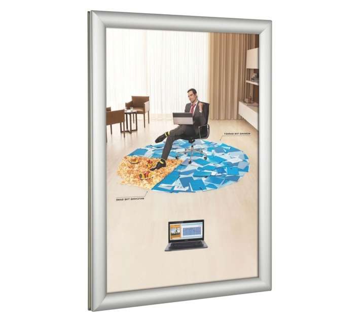 Parrot Products BG1204 Double Sided Window A4 Poster Frame