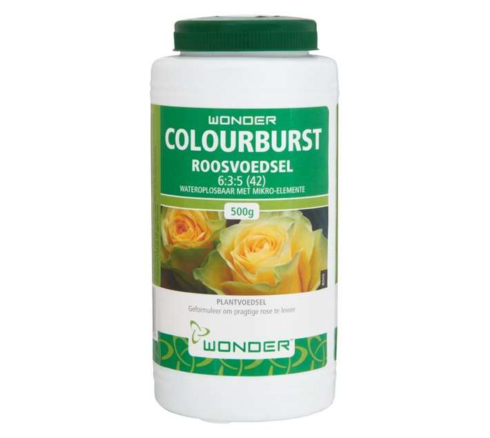 Wonder Colourburst Rose (500g)