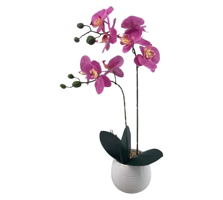Direkshinz Rib 2 Stalk Artificial Orchid in Pot - Pink