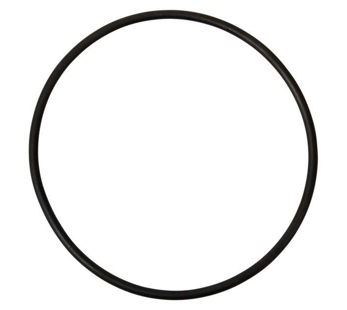 Sun Command Q Pump Lid O Ring