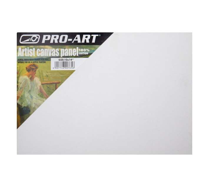Pro Art Canvas Panel (19 x 254 x 355mm)