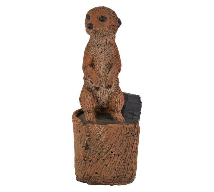 Wildcrete Baby Meercat