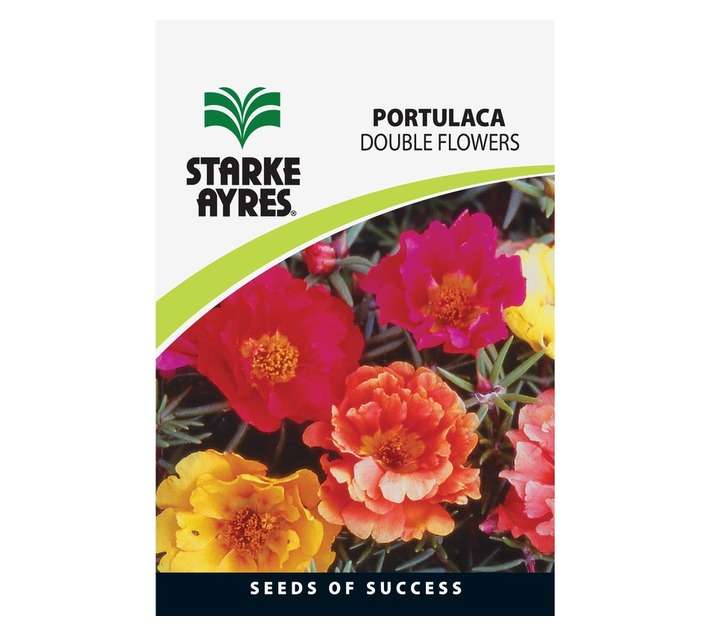 Starke Ayres Amaranthus Marog Seeds