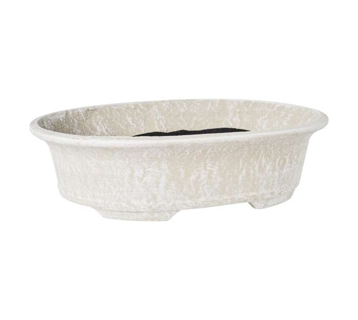 50320 Bonsai Pot