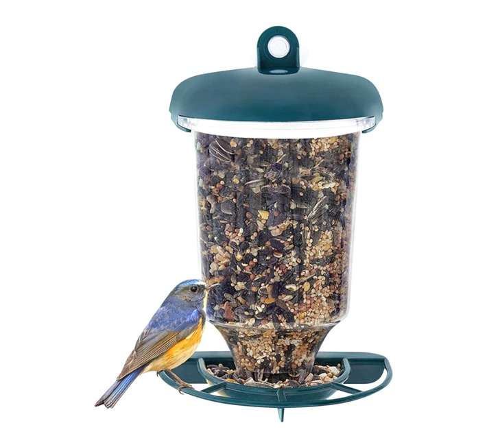 Waterhouse Transparent Window Bird Feeder - Green