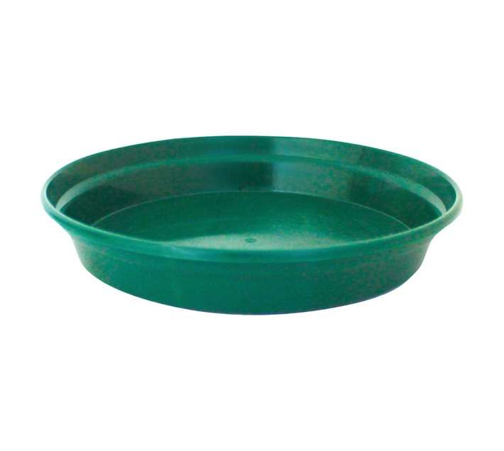 Sanscape Saucer - Green (230mm)