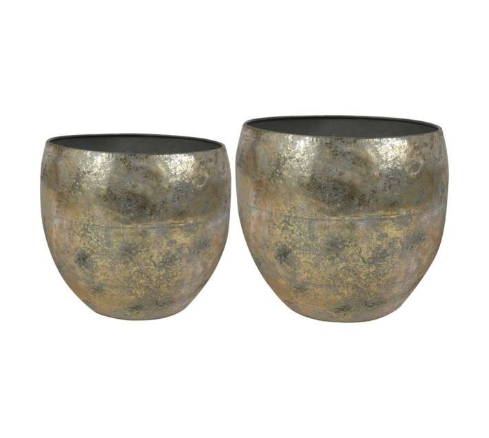 Flora Select Thomas 2 Piece Pot Set - Gold