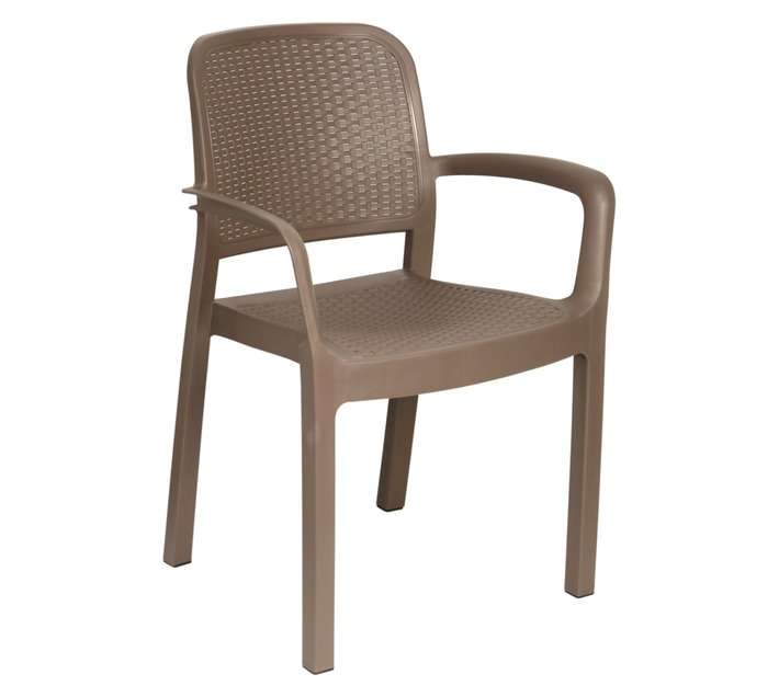 Gold Sun Protea Arm Chair - Cappuccino