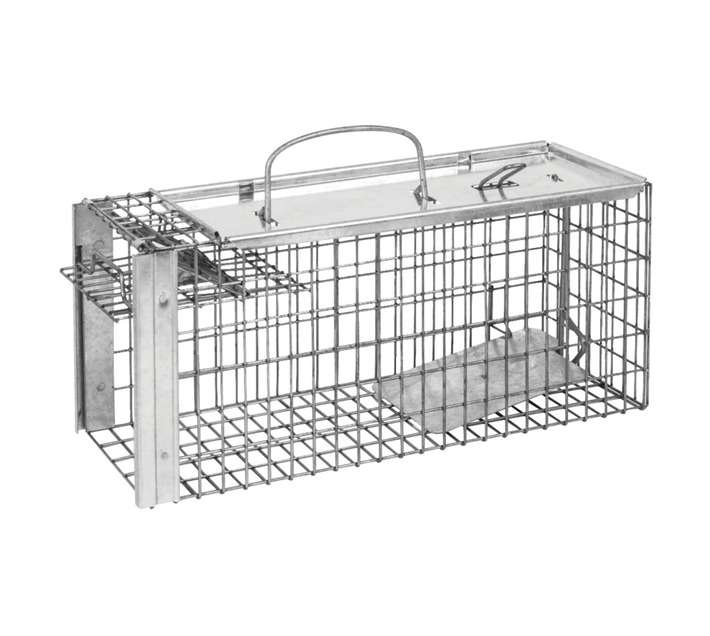 The Big Cheese Cage Rat Trap