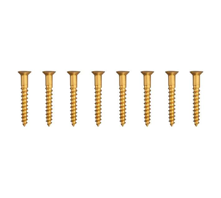 Eureka 1CH70U 5.5 x 40mm W/Screw Countersunk Solid Brass (8 Pack)