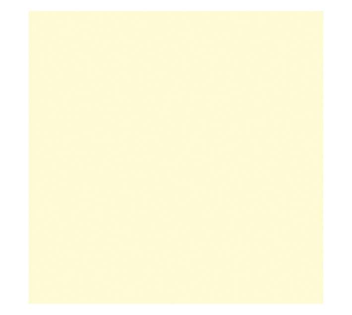 Parrot Products Hob Splashback - Beige (598 x 6 x 650mm)