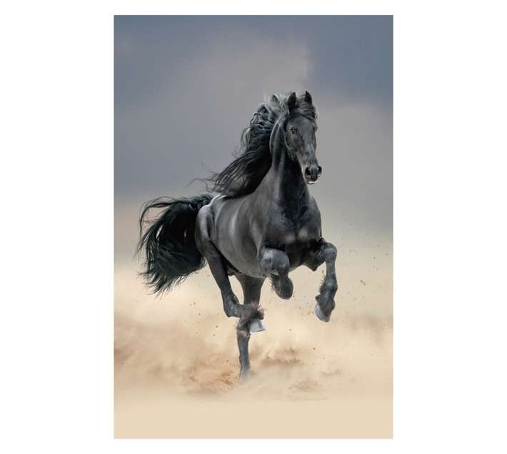 Design House Black Horse Canvas Print - Black (600 x 900mm)