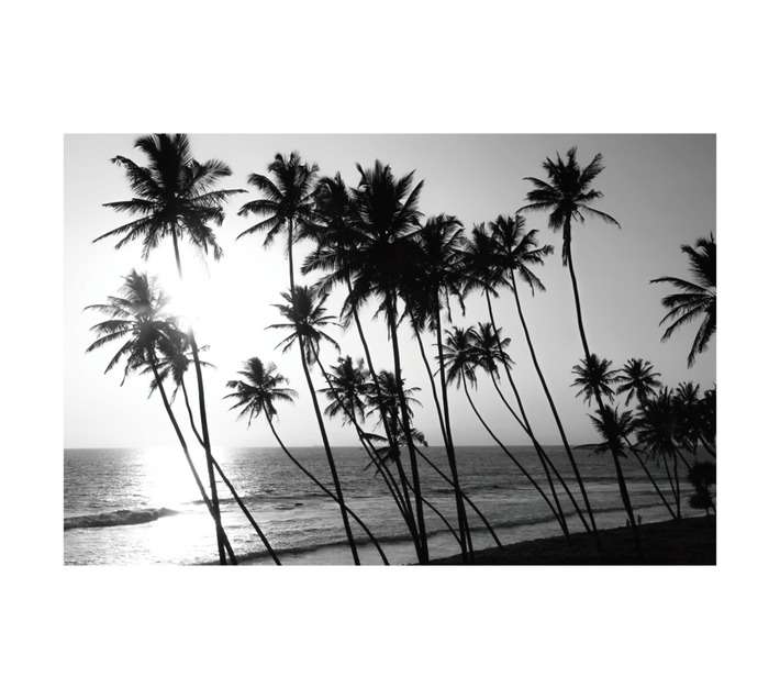 Design House Palm Trees Canvas Print - Grey (600 x 900mm)