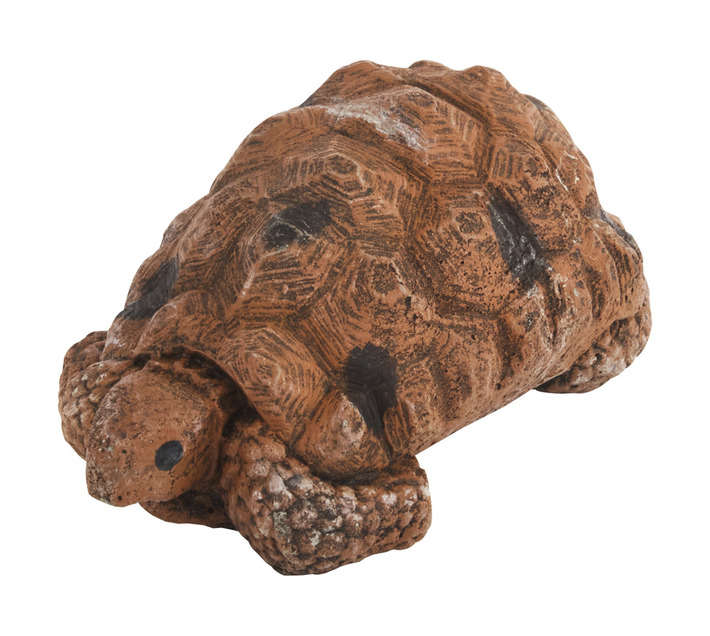 Wildcrete Female Tortoise