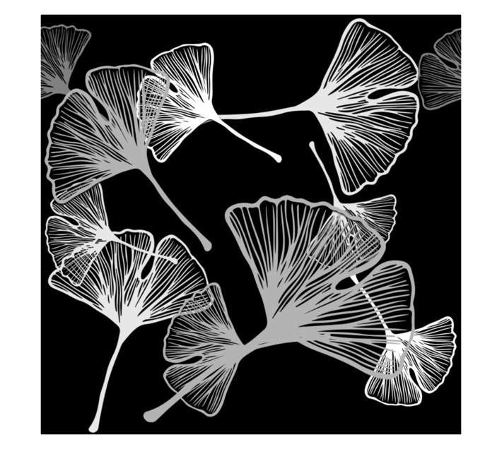 Fired Earth Dandelions Wallpaper - Black/White (10m x 530mm)