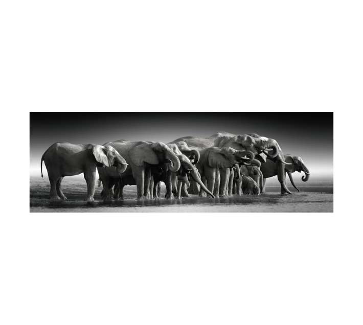 Design House Elephant Family Canvas Print - Grey (400 x 1200mm)