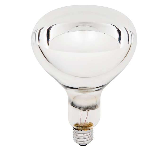 Eurolux E27 Incandescent Light (275w)