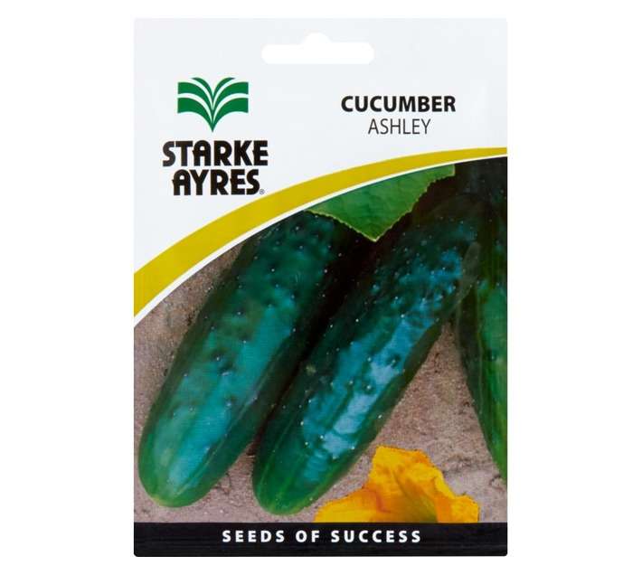 Cucumber Seeds Polypack