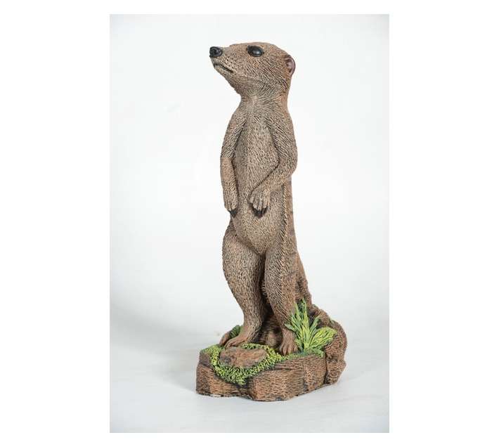 Wildcrete Dad Meercat