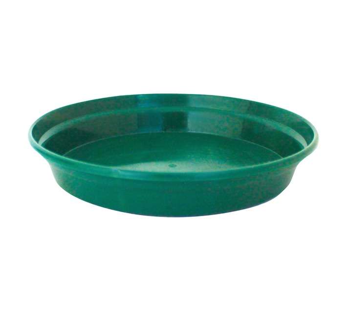 Sanscape Saucer - Green (190mm)