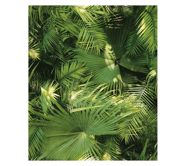 Fired Earth Tropical Palm Wallpaper - Green (10m x 530mm)