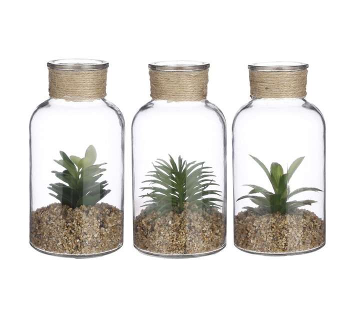 Mica Decorations Succulent Plant Green - Assorted (100 x 100 x 200mm)
