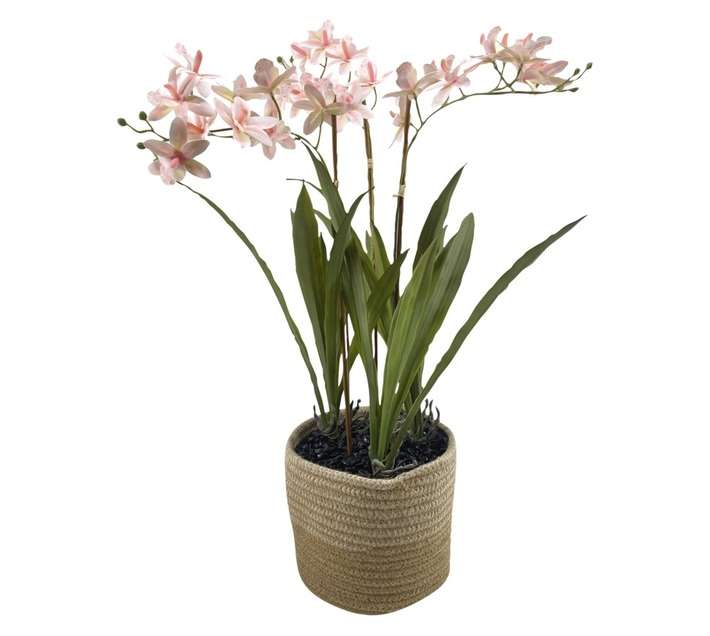Direkshinz 3 Stalk Artificial Cymbidium - Pink