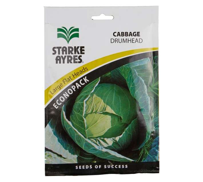 Cabbage Drumhead Seeds Economy Packet (50g)C