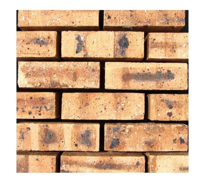 West End Clay Brick and Roofing FBS Clay Brick - Golden Travertine (219 x 99 x 70mm)