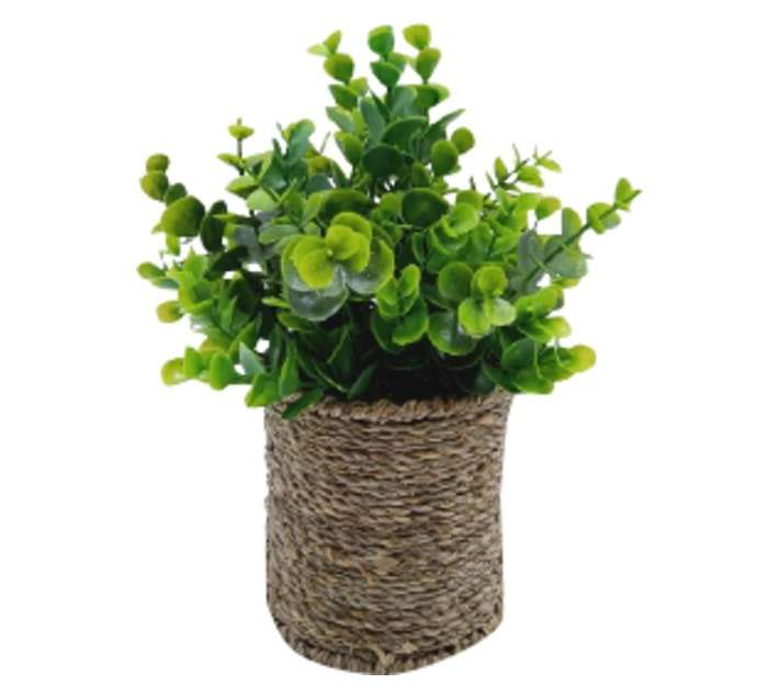 Little Gem Planted Artificial Flower