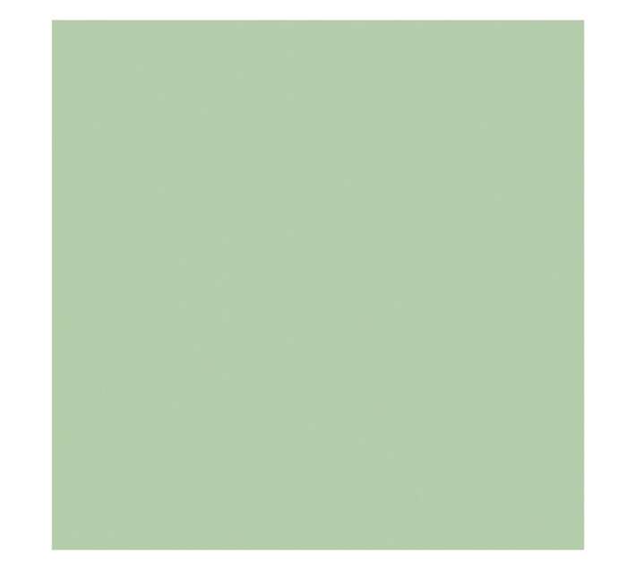 Parrot Products Hob Splashback - Pastel Green (598 x 6 x 650mm)