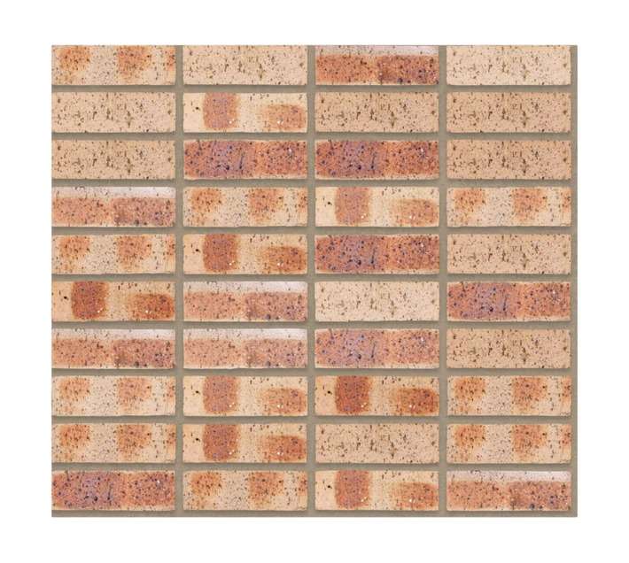 Corobrik Travertine Face Brick - Rustgold (222 x 106 x 73mm)