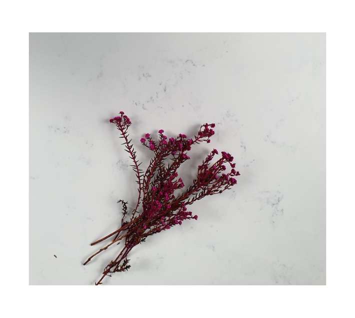 Wolfstone WS8600WT15 Worktop Acrylic Countertop - Carrara (1500 x 650 x 25mm)