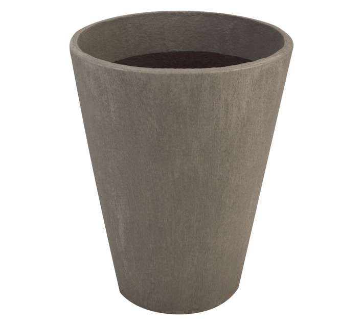 Garden Solutions Medium Iris Pot Plant - Velvet