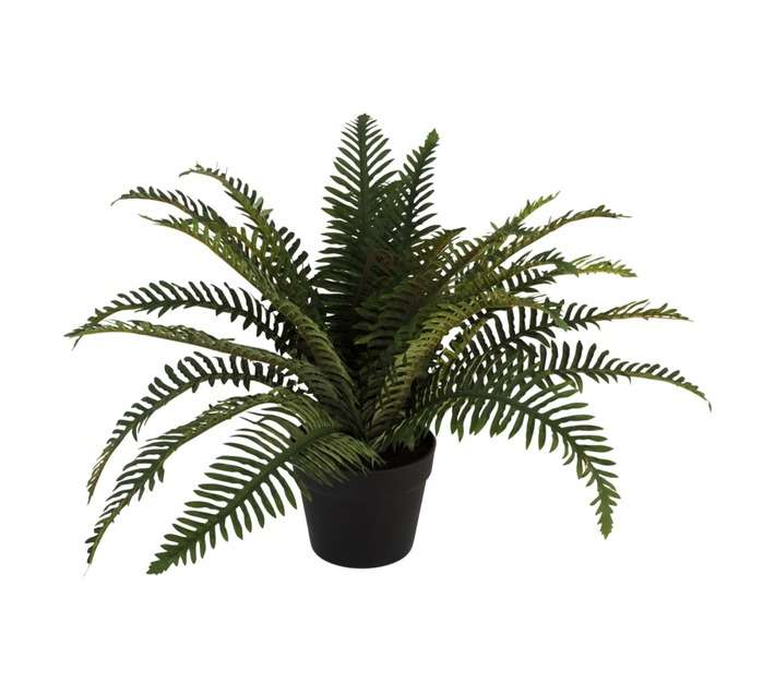 Flora Select Fern Artificial Plant - Green