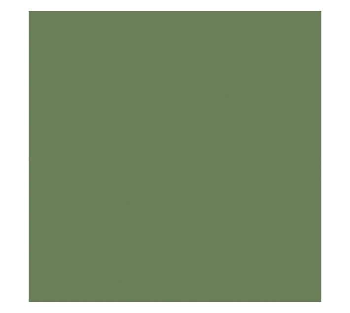Parrot Products Hob Splashback - Reseda Green (598 x 6 x 650mm)