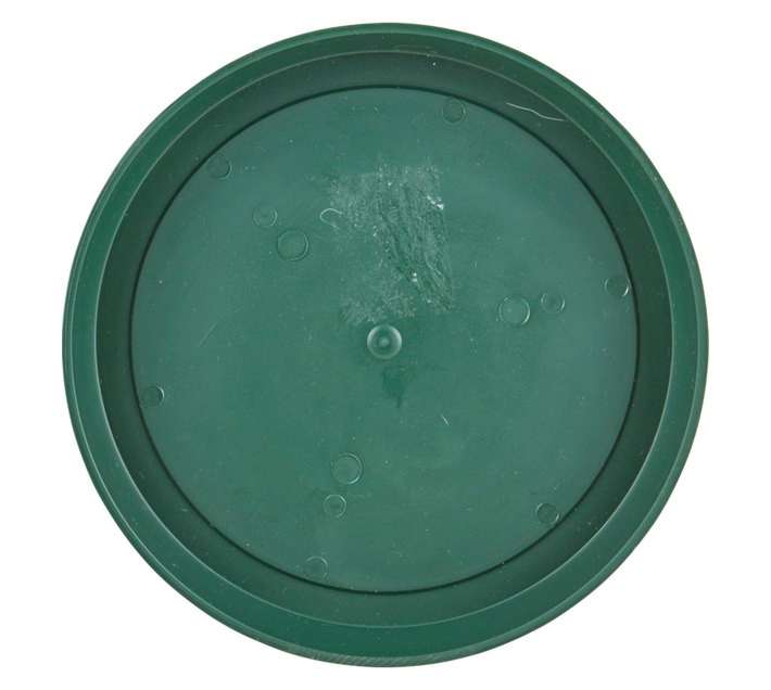 Sanscape Saucer - Green (200mm)