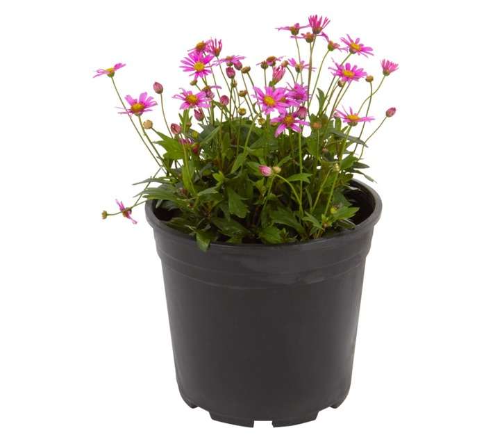 Cover Itt Ground Cover (140mm)