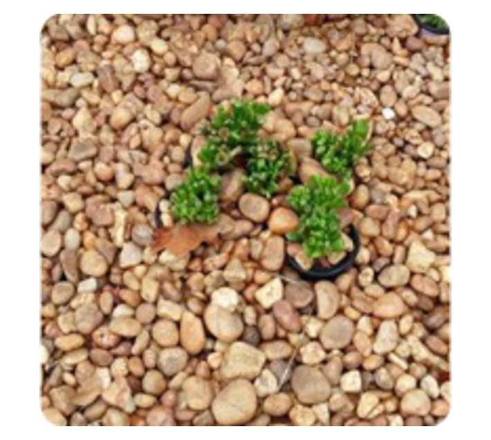 14DM Sahara Gravel Pebbles (19mm)