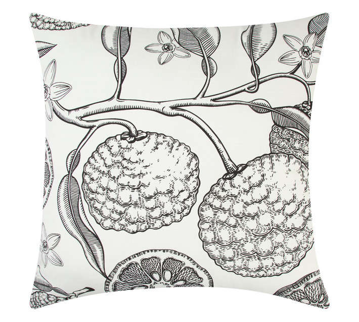 Design House Citrus Cushion (500 x 500mm)