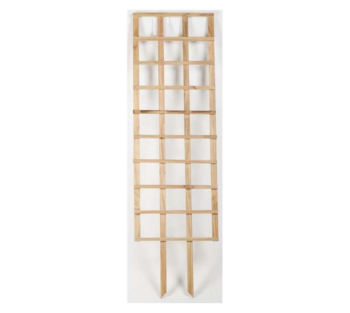 Wild Ways ST002 Imbuia Self Staking Trellis - CCA Treated (430 x 1500mm)