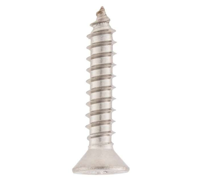 Safe Top PPSSSTCP0619 10 x Stainless Steel Self Tapping Screws (6 x 19mm)