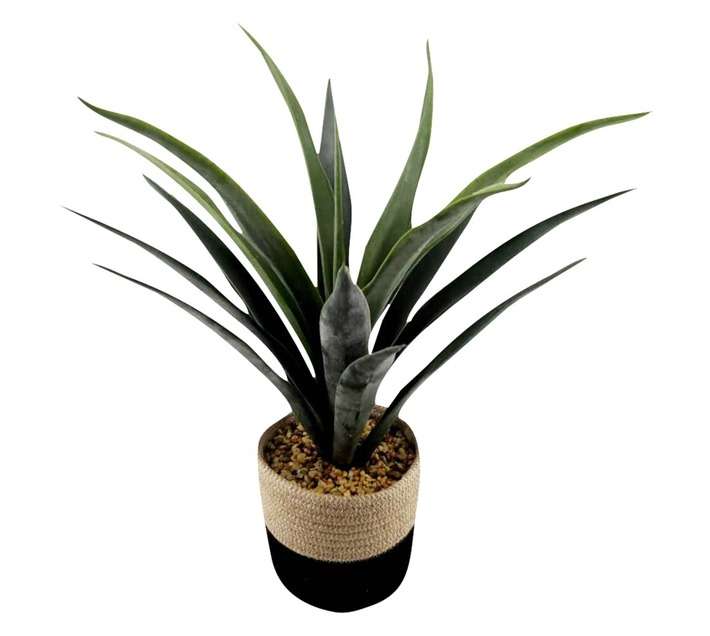 Artificial Agave in Jute Basket
