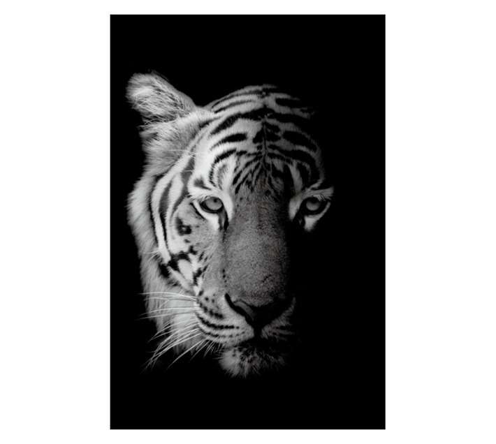 Design House Tiger Canvas - Black (600 x 900 x 600mm)